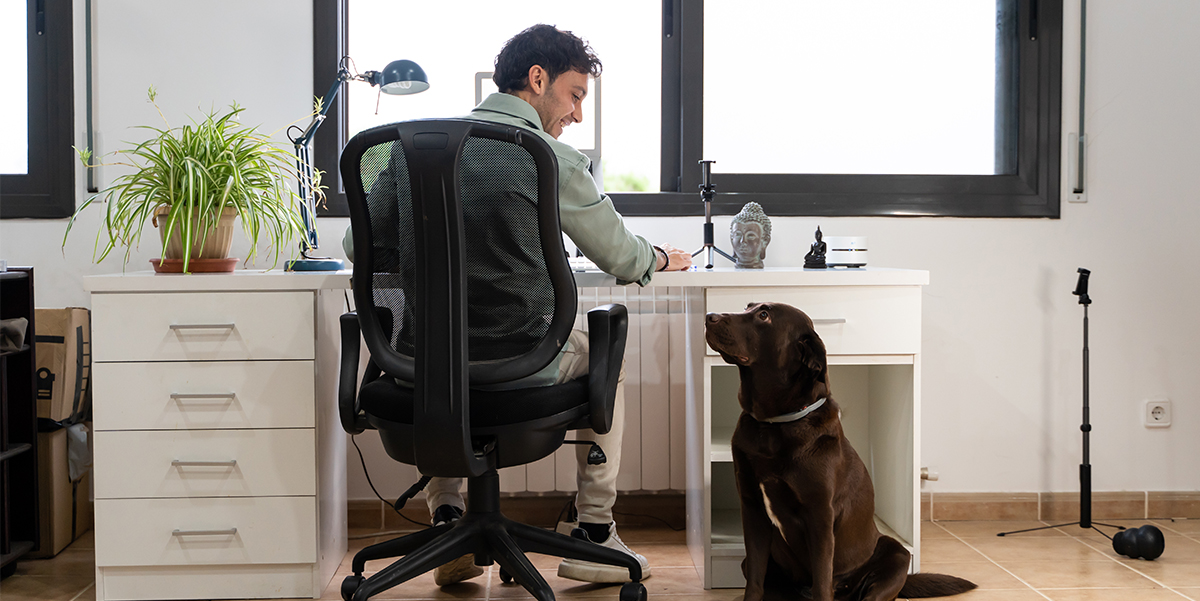 Man in home office sitting at his desk and looking at his chocolate lab.